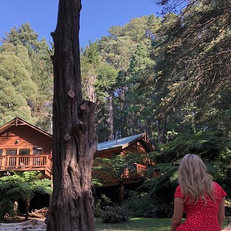 Chudleigh Park Cottages Sassafras Εξωτερικό φωτογραφία