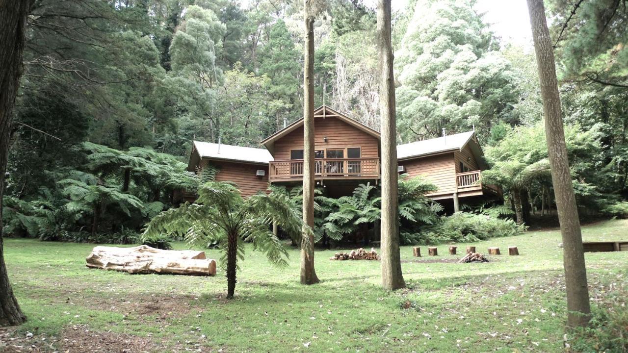 Chudleigh Park Cottages Sassafras Εξωτερικό φωτογραφία