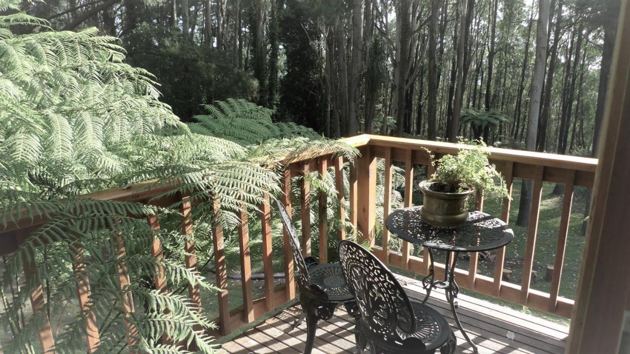 Chudleigh Park Cottages Sassafras Εξωτερικό φωτογραφία