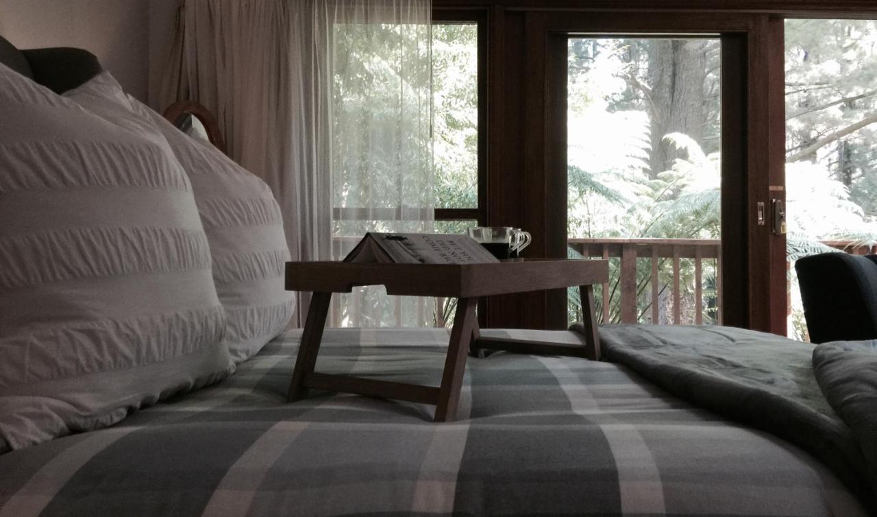 Chudleigh Park Cottages Sassafras Εξωτερικό φωτογραφία