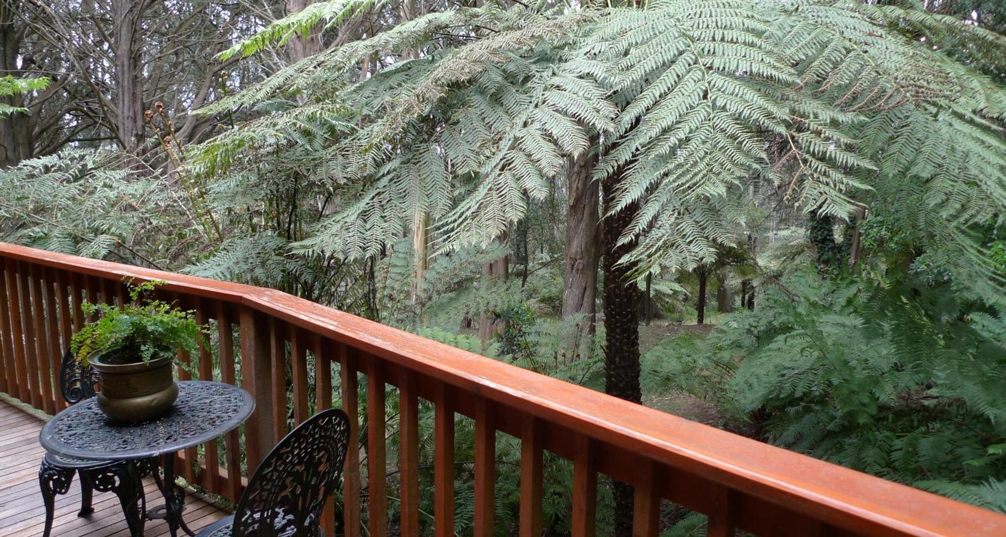 Chudleigh Park Cottages Sassafras Εξωτερικό φωτογραφία