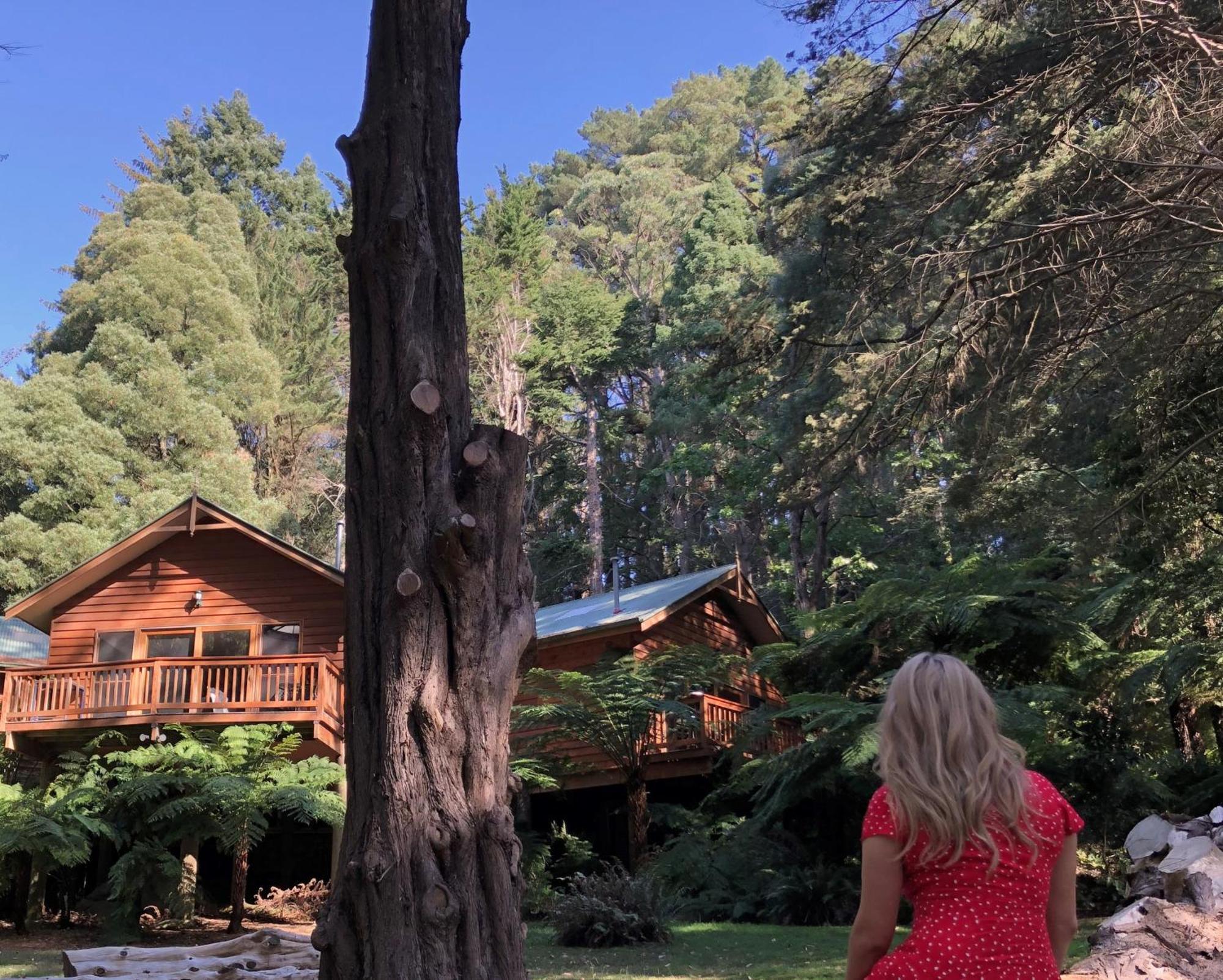 Chudleigh Park Cottages Sassafras Εξωτερικό φωτογραφία