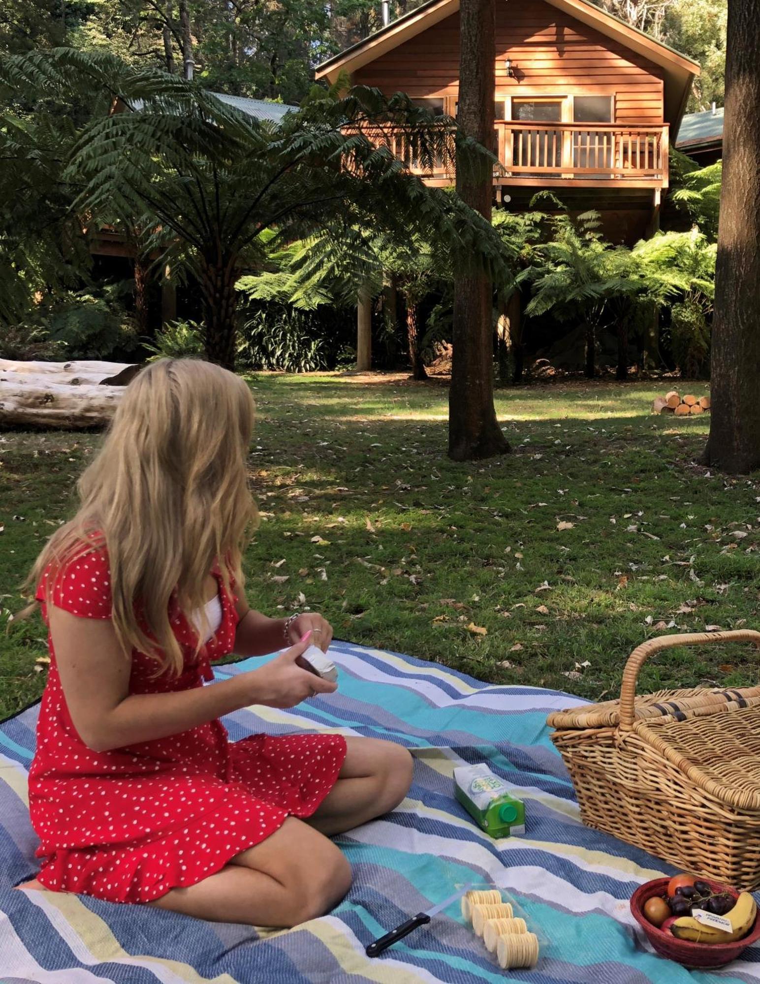 Chudleigh Park Cottages Sassafras Εξωτερικό φωτογραφία